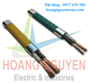 DÂY ĐÔI MỀM DẸT CÁCH ĐIỆN VÀ VỎ BỌC PVC 300/500V 300/500V PVC INSULATED AND COVERED FLAT FLEXIBLE CORD (VCTFK) DÂY ĐÔI MỀM DẸT CÁCH ĐIỆN VÀ VỎ BỌC PVC 300/500V 300/500V PVC INSULATED AND COVERED FLAT FLEXIBLE CORD (VCTFK)